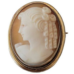 800 Silver, Vermeil Lady's Profile Left Facing Carved Cameo Brooch Pendant E232